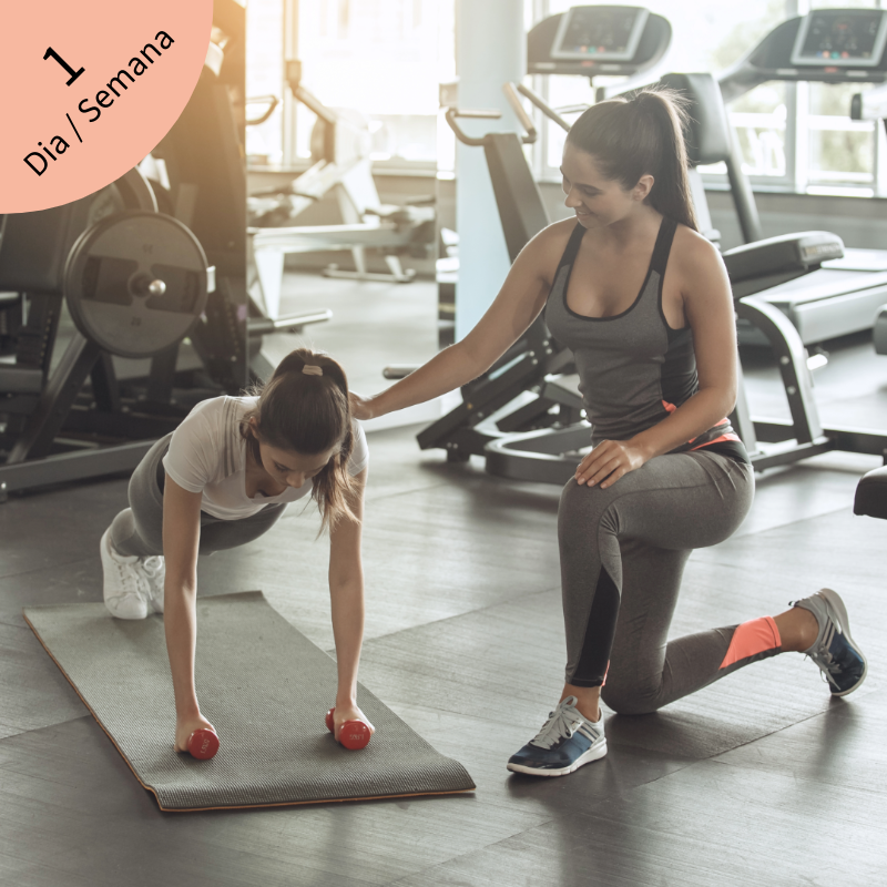 Programa de Entrenamiento Personal - 1 día por semana