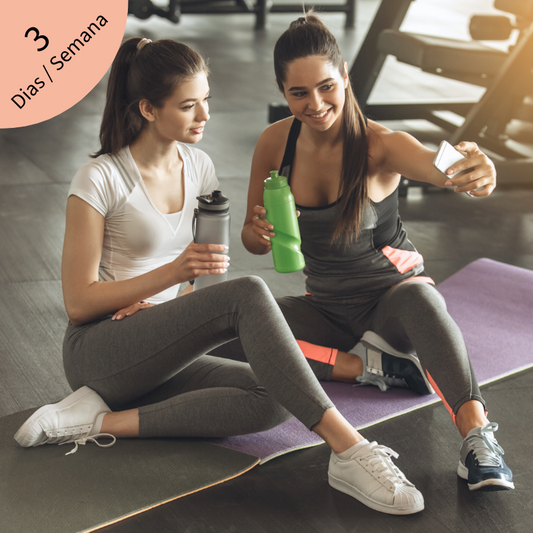 Programa de Entrenamiento Personal - 3 dias por semana